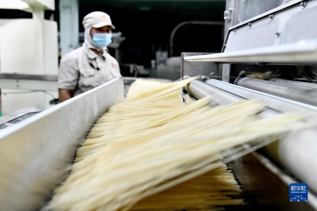 永利网注册网址